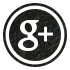Google Icon