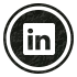 Linked In Icon