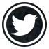 Twitter Icon
